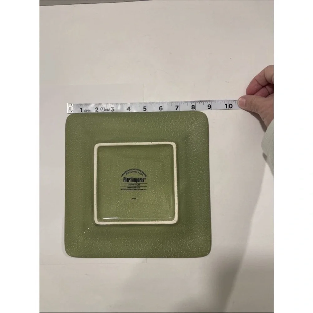 PIER 1 Imports CARYNTHUM  Salad/ Lunch Plate Earthenware 8.75